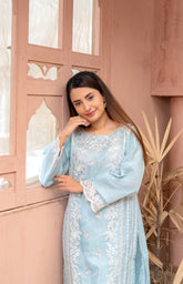 Ushna – Elegant Embroidered Organza 3PC Suit | A Dot Fashion