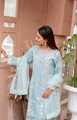 Ushna – Elegant Embroidered Organza 3PC Suit | A Dot Fashion