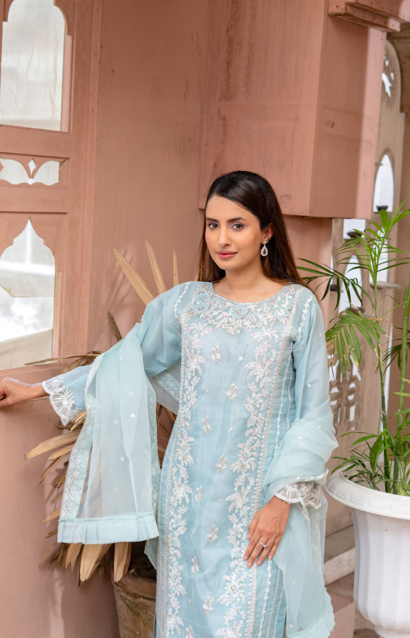 Ushna – Elegant Embroidered Organza 3PC Suit | A Dot Fashion