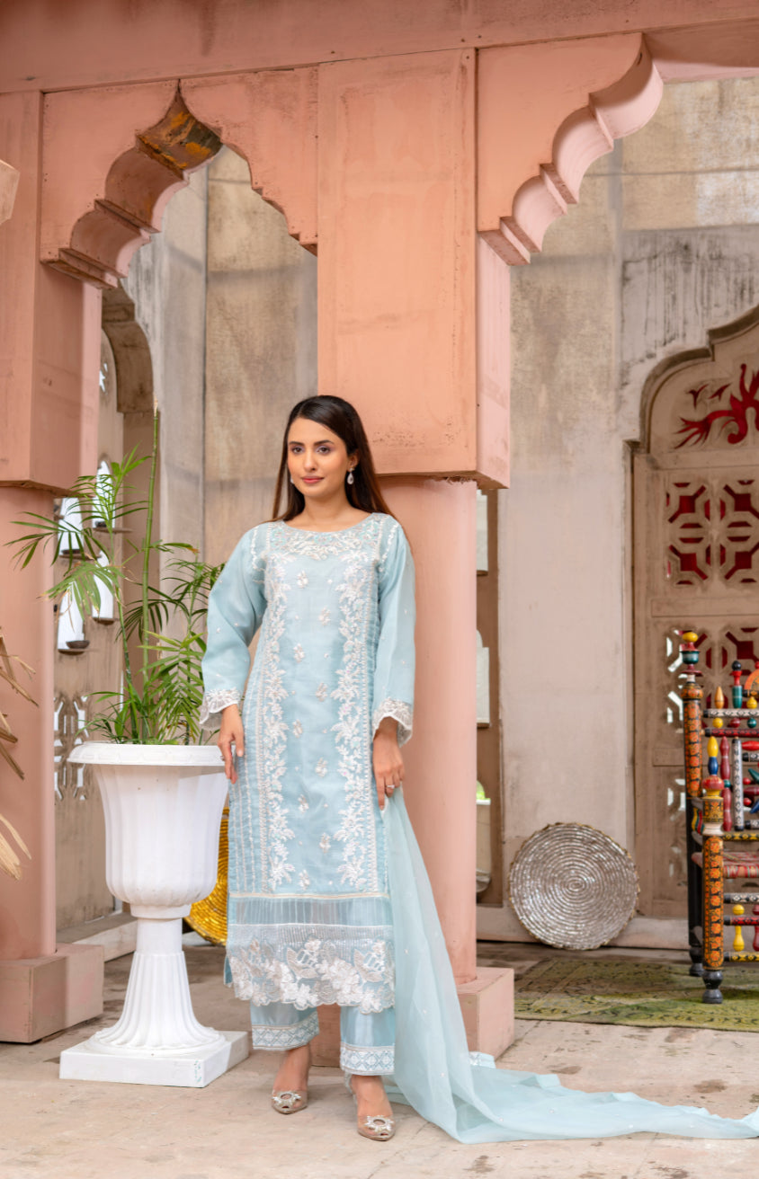 Ushna – Elegant Embroidered Organza 3PC Suit | A Dot Fashion